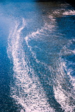 自由	花筏/目黒区 目黒川 昭38卒	土生 一俊