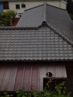 自由	午後の微睡/自宅前 昭40卒	勝山 泰典