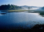 自由部門  朝のもや(尾瀬沼)/福島県桧枝岐村  昭38卒 今井 隆一