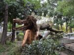 自由部門 ヒエ〜、怪獣だあ〜〜/石神井公園 昭33卒 山崎 仁郎