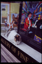 自由部門  ニューオリンズの午後/アメリカ ニューオリンズ  昭40卒 飯窪 敏彦