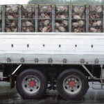 OLYMPUS DIGITAL CAMERA 自由部門 雨の荷台 小西敏治