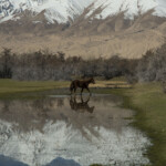 自由部門 自由への散歩道 岩崎洋一郎