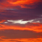 自由部門 夕映え 勝山泰典