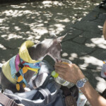 自由部門 恋人と高尾に 稲山正人