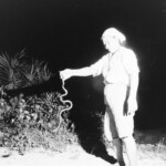 自由部門 エラブウナギを獲る 浅野修司