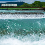自由部門 夏の涼 寺尾健太郎