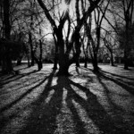 自由部門 Gigue 東俊治