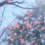 テーマ部門 解像力至上主義 木内格志