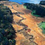 自由部門 初冬の大江湿原 今井隆一