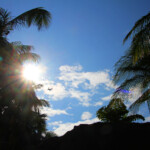 自由部門 彼方へ 笹井温迪