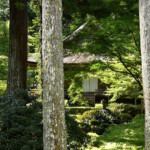 自由部門 浄土へ至るお堂 渡邊 修