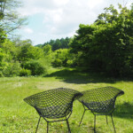 自由部門 風 薫る 鈴木 一正