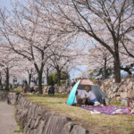 自由部門 春のテント 正田 勝啓