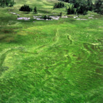 自由部門 新緑の尾瀬ヶ原 今井 隆一