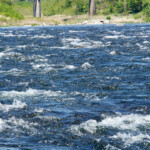 自由部門 鉄道の走る風景 湯川 登紀雄