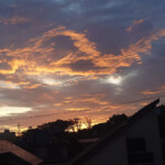 自由部門 早暁『火の鳥』出現! 庄村 勝男